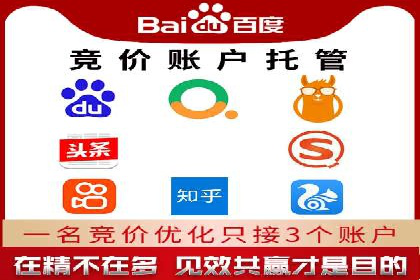 成功案例分享：托管竞价SEM优化策略